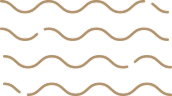 Abstract pattern of horizontal wavy brown lines on a white background.